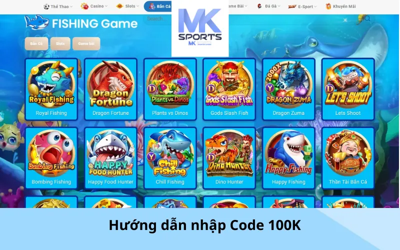 Hướng dẫn nhập Code 100K