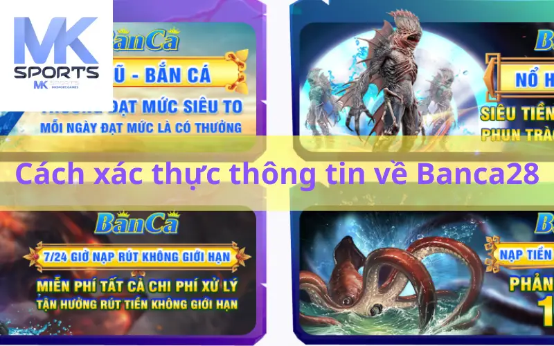 Cách xác thực thông tin về Banca28