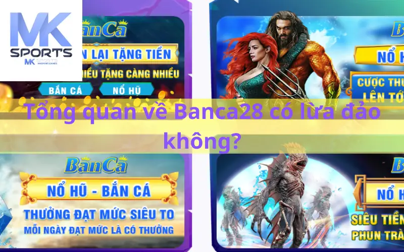 Tổng quan về Banca28 có lừa đảo không?